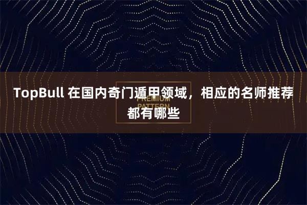 TopBull 在国内奇门遁甲领域，相应的名师推荐都有哪些