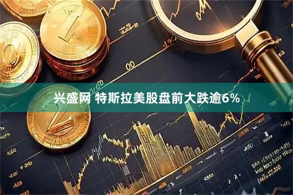 兴盛网 特斯拉美股盘前大跌逾6%